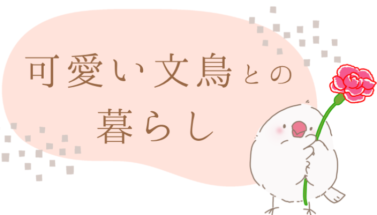 cook 今日なに作ろ？